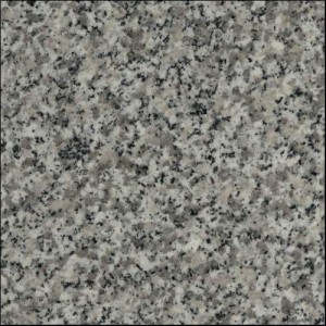 Salt and pepper countertop granite
